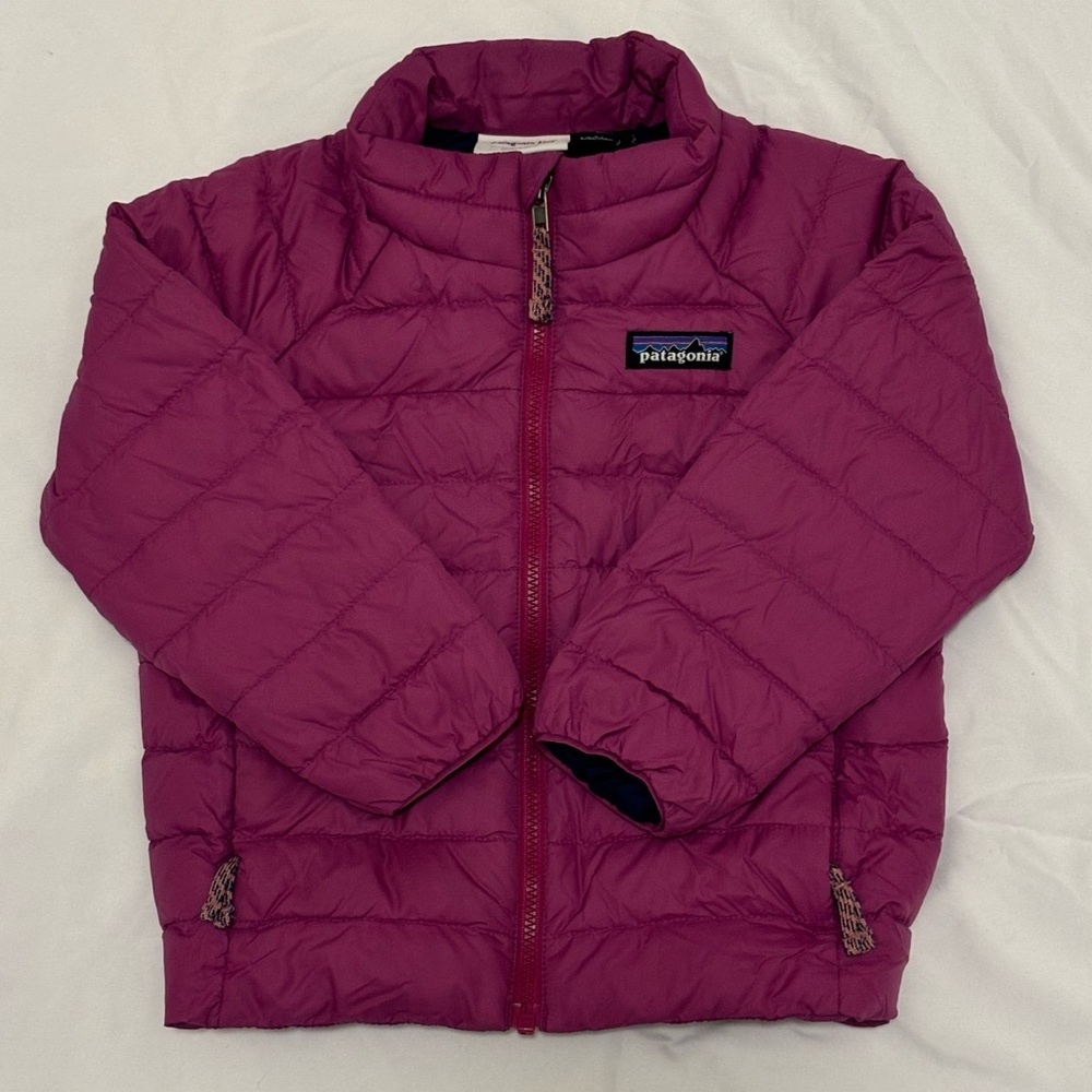 Patagonia Down Sweater (size 2T)